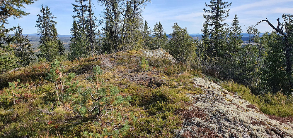 Her er det markante høyeste punktet på Kvassberget