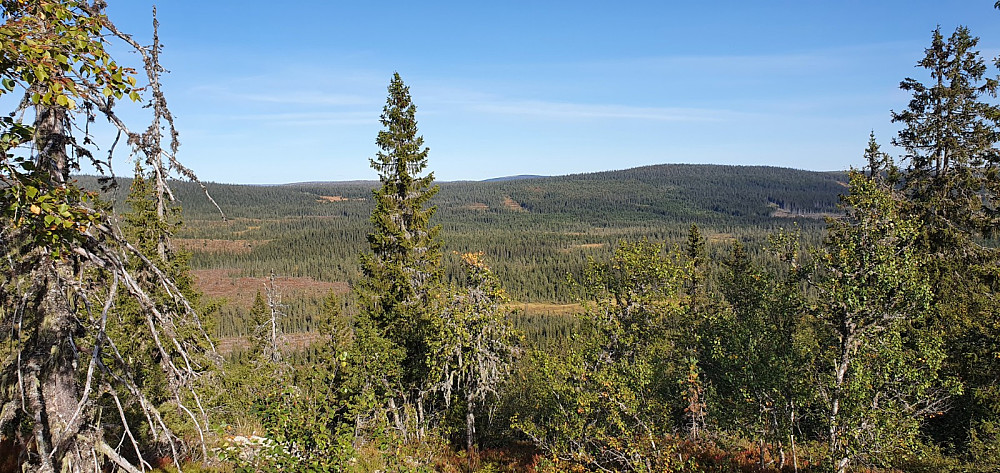 Utsikt mot Nordøst