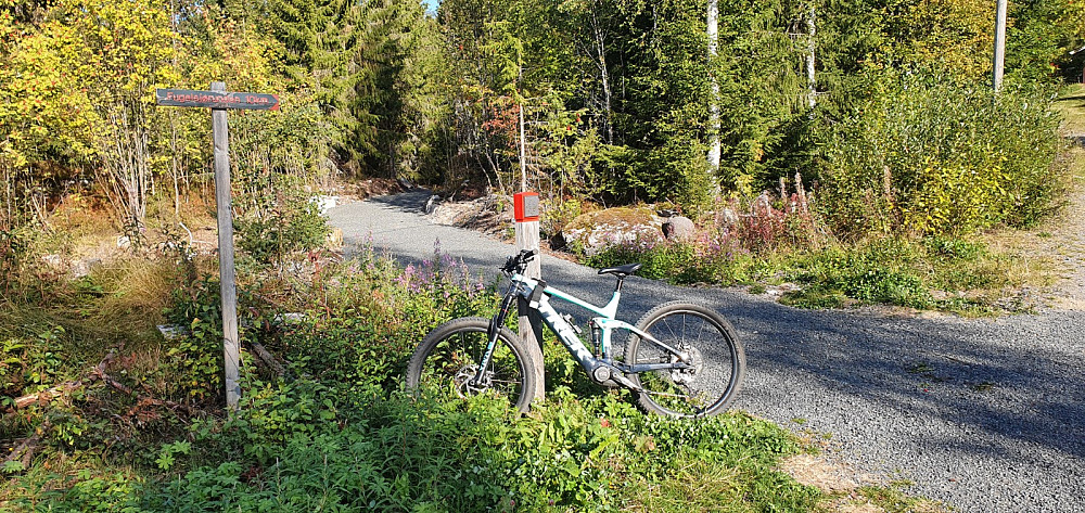 Det startet med veldig tilrettelagt sti