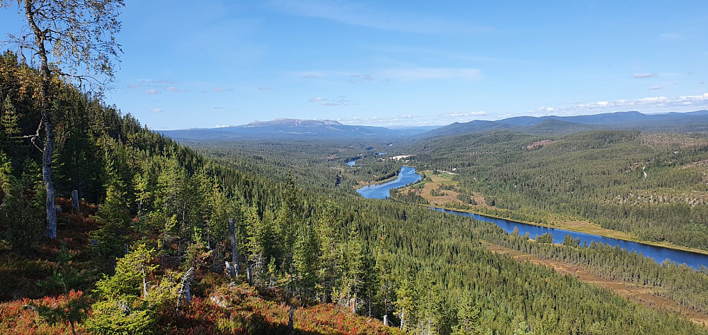 På tur ned kom jeg på et punkt med flott utsikt oppover dalen mot Nybergsund