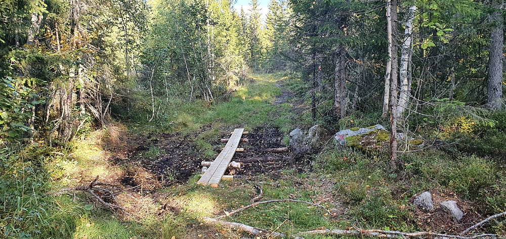 Her var det lagt ut klopper siden sist jeg syklet her