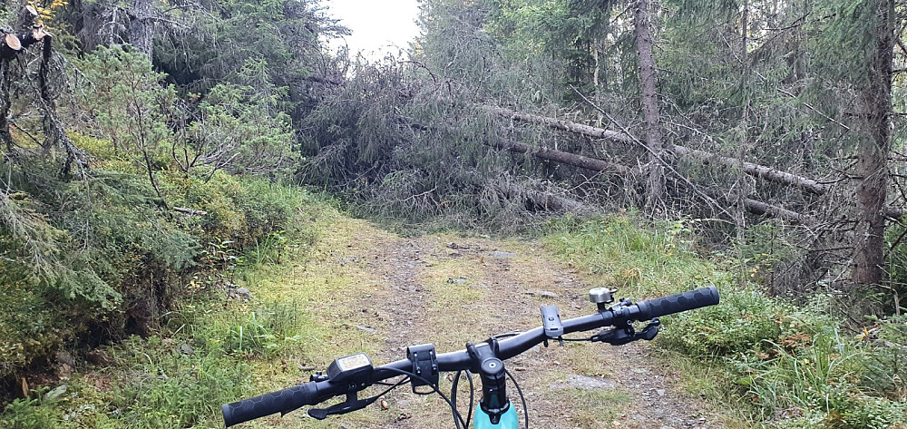 Her måtte jeg sykle rundt