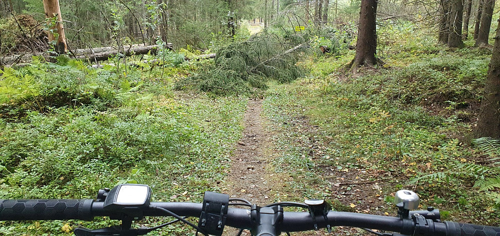 Ved skytebana i Hovemoen var stien sperret av et trefall