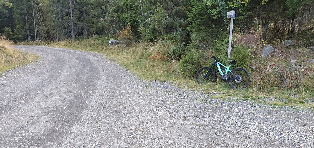 Etter en strabasiøs dyttetur gjennom hogstfeltet, var jeg endelig nede på veien. Herfra kunne jeg stort sett trille ned til Fåberg