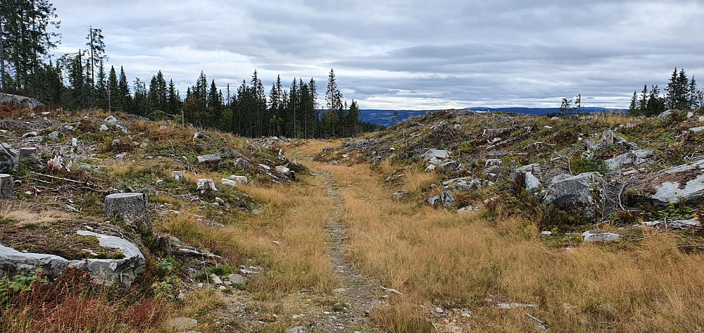 Noen hundre meter sørover på sti fra Kroktjern, så var jeg på en veldig lettsyklet traktorvei