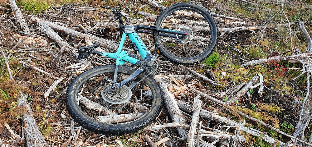Her ble det havari. Antagelig fikk jeg en tykk tørkvist opp i gir mekanismen, og klarte å knekke av hele gir armen. Da ble det å ta beina fatt ned mot veien