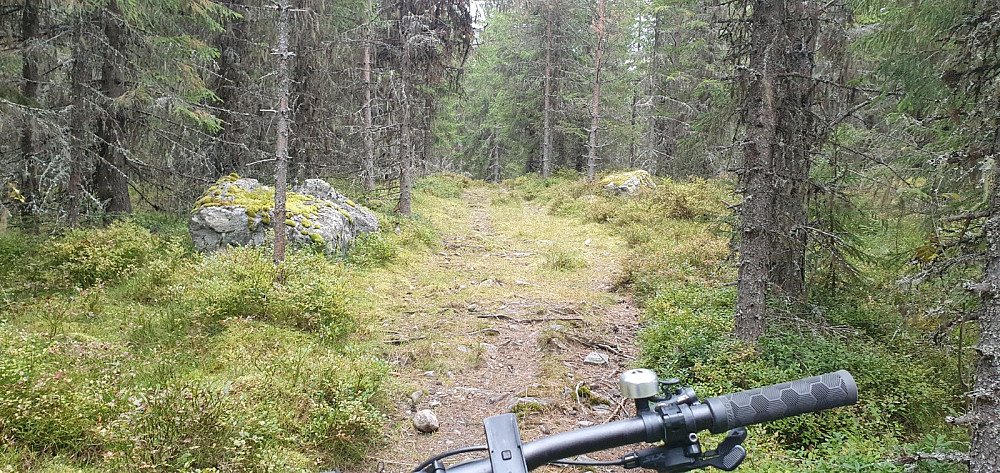 Det ble en avstikker inn Reinaråket og opp til Kveåsen