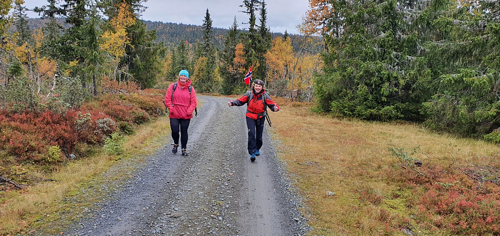 Etter Midtfjellet kunne vi følge veien et kort stykke bort til ryggen av Snørvillen