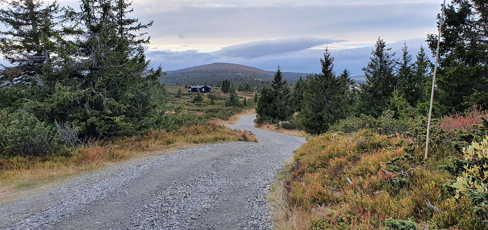 Utsikt opp på toppen fra der hytteveien tar av fra hovedveien og stien starter et par hundre meter inn