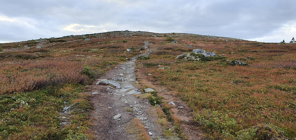 Veldig sykkelvennlig sti opp på Nevelfjell
