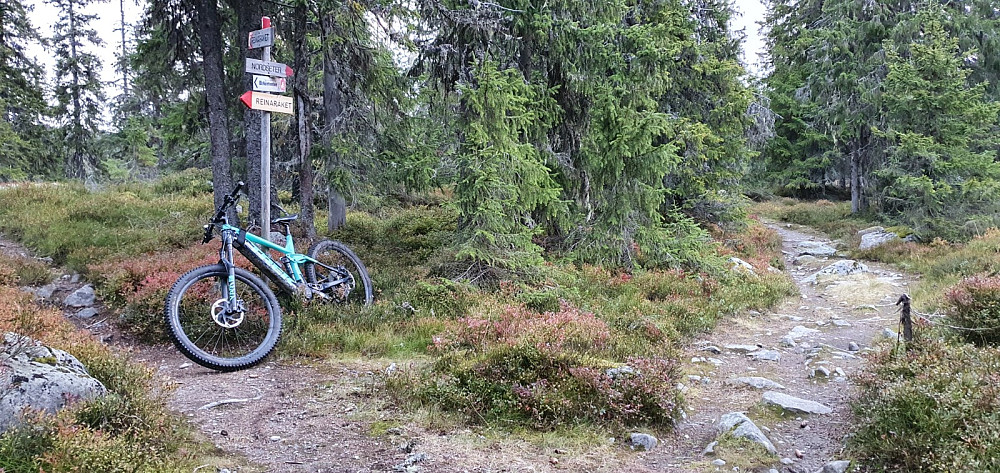 Skiltet også i stikrysset vest for Grøtåsen. Jeg var overrasket over hvor bra det var å sykle ned Reinaråket til Gropmarka
