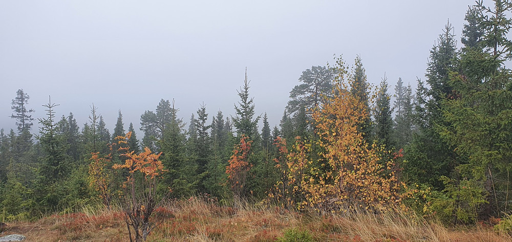 Fra toppen av Balbergkampen og opp mot Hafjell som var dekket av tåka