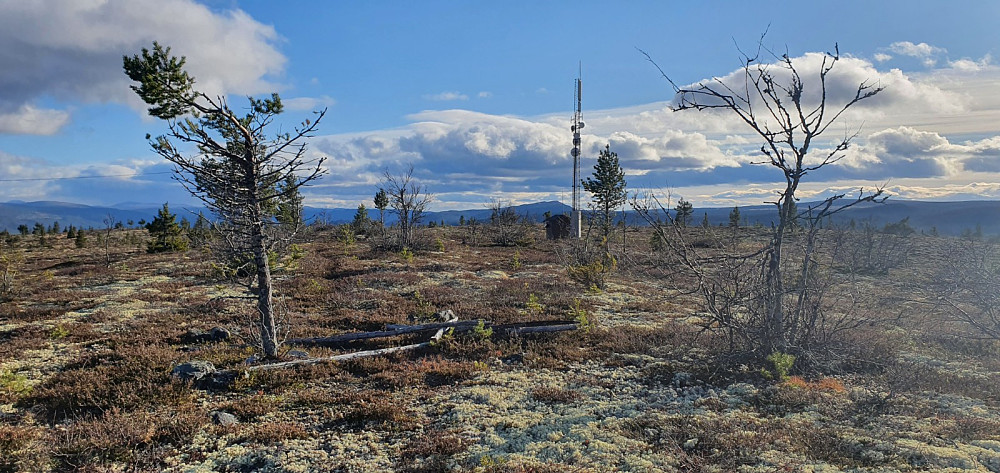Dagens andre besøk på høyeste punkt på Rødfjellet