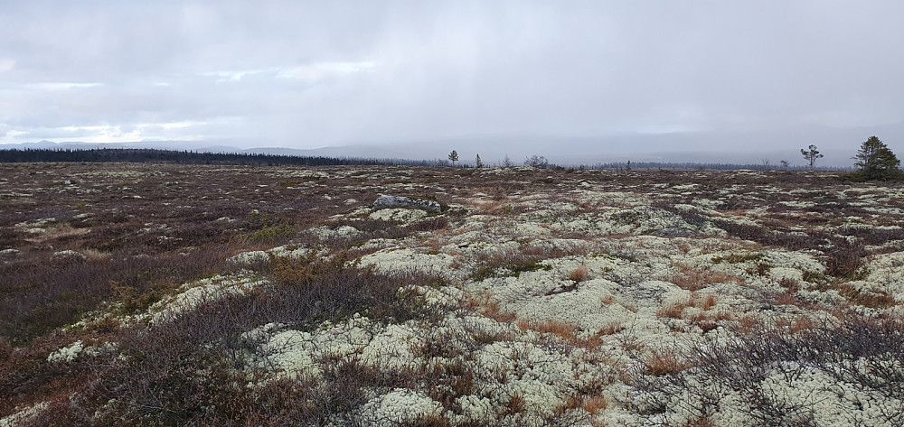 Det kom dårlig vær nordfra