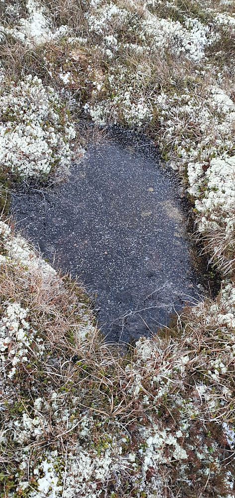 Litt snø la seg på isen på vannpyttene
