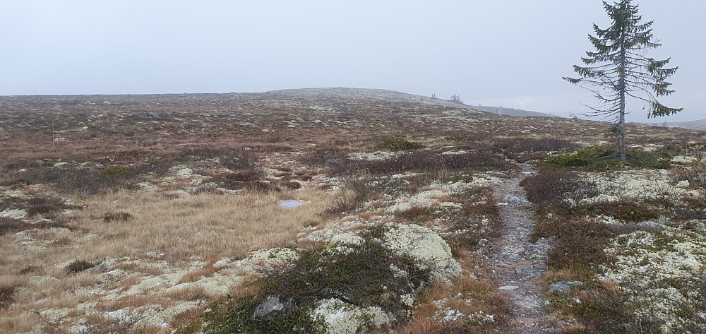 Tilbakeblikk mot toppen i det snøbygen passerte