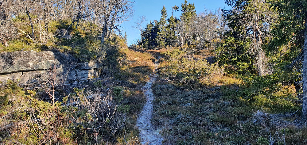 Fin sti som det hadde vært fint å syklet, bortsett fra 2 små kneiker
