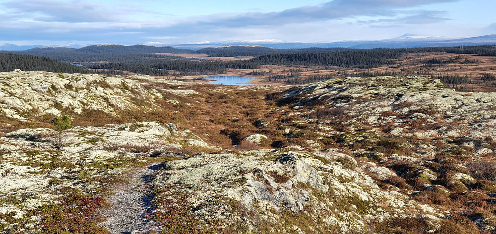 Utsikt mot Skarven som var gårsdagens første topp