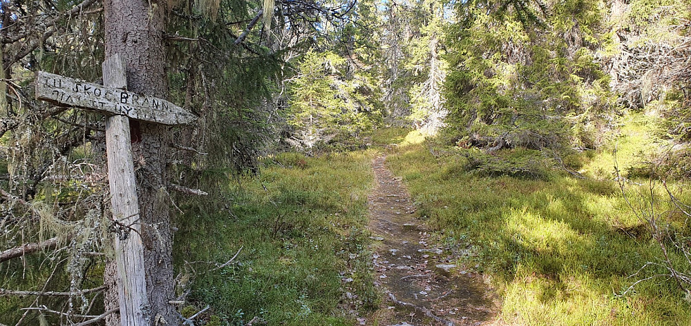 Dette skiltet er i ferd med å råtne opp. Har nok hengt her i noen år