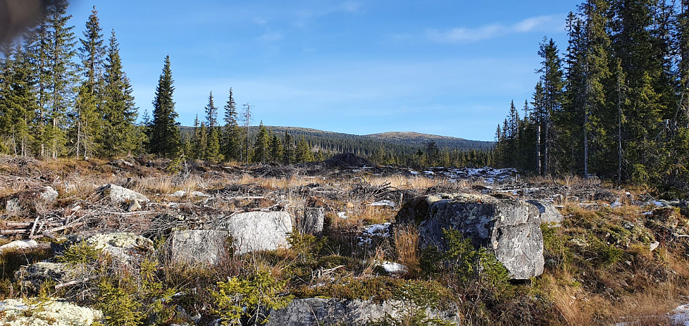 Her fikk jeg fri sikt opp på Nevelfjell som var turens mål