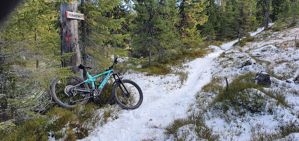 Jeg tok inn Reinaråket. Her traff jeg 3 elgjegere som kom i motsatt retning av meg