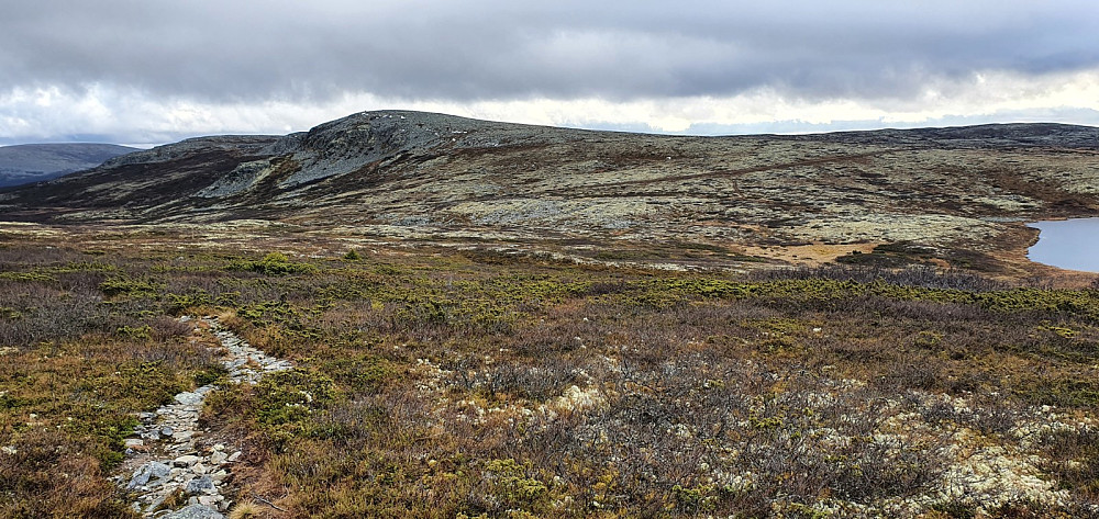 Nå nærmet jeg meg kjerreveien som jeg kunne sykle tilbake til start