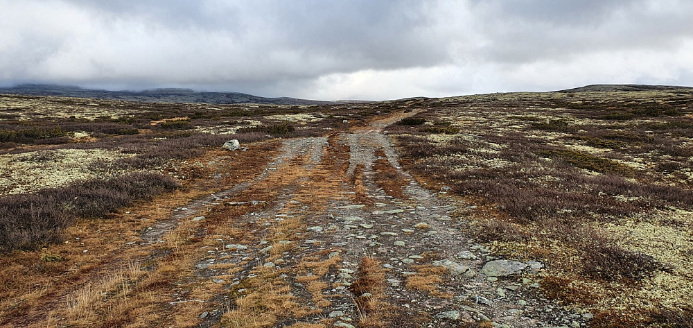 Flotte sykkelforhold innover fjellet her