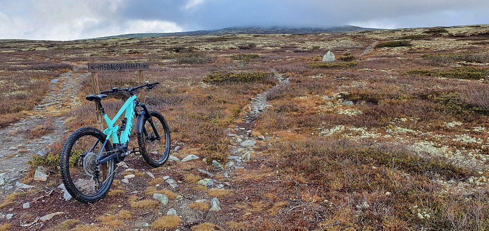Her kom jeg til et stikryss hvor jeg tok av Imsdalskarråket