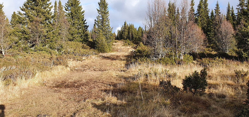 Veldig fine sykkel forhold opp mot Høgåsen