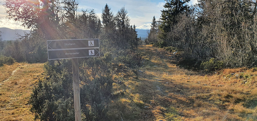 På returen tok jeg av mot Stortann slik at jeg kunne få meg en rundtur