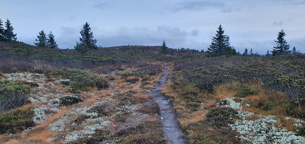 Etter en kort bit på stien, dukker toppen opp