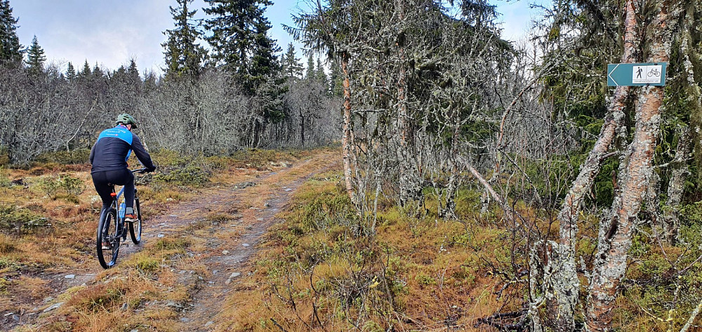 Ved veien vi krysset ved Lauvåsen var det skiltet sykkelsti videre, men stien ble veldig krevende å sykle i partier, så det er nok for de spesielt interesserte syklistene