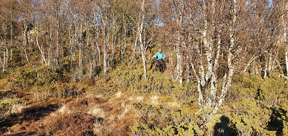 Ned fra Vesle Granhaugen var det bratt og ingen sti