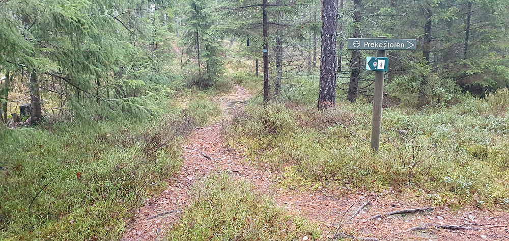 Godt skiltet i alle stikryss her inne i skogen