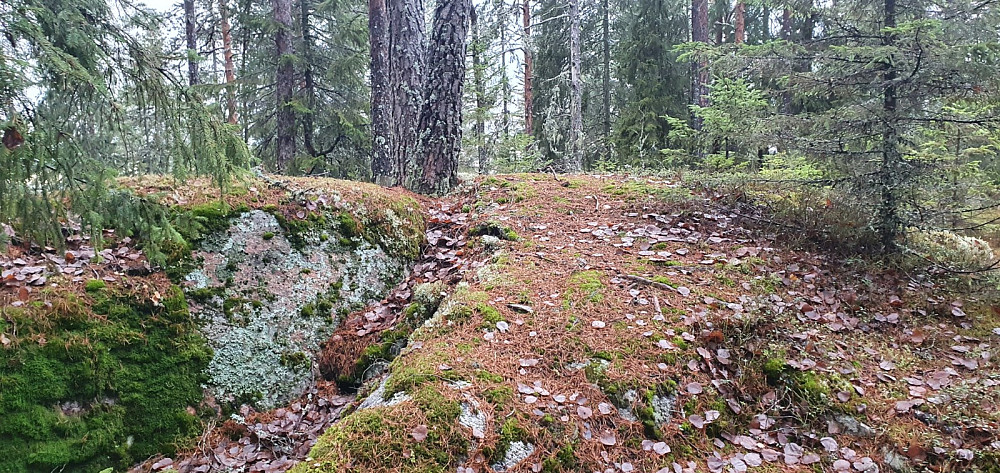 Høyeste punkt på Holtfjellet