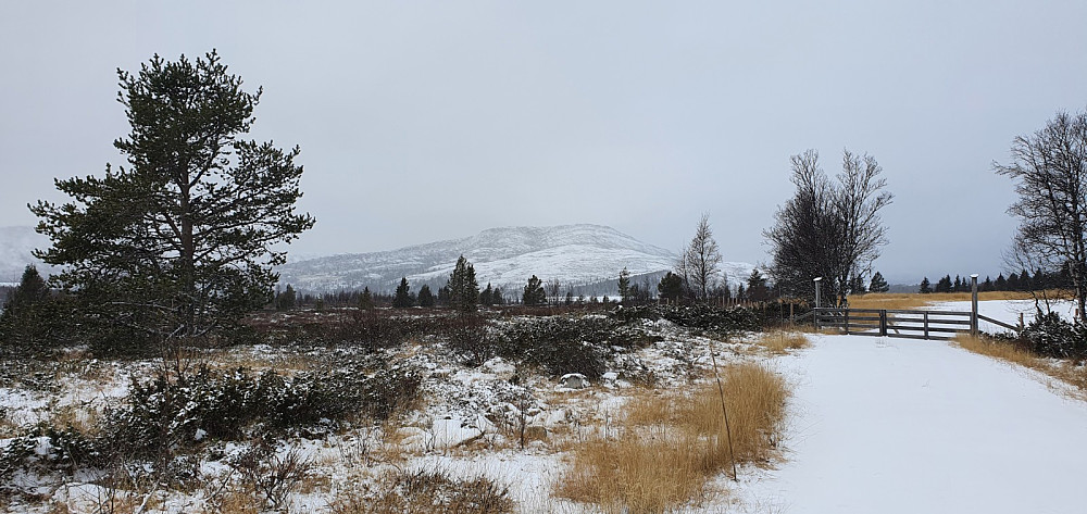 Jeg hadde fri sikt fra Spidsbergseter og bort på Svartfjellet