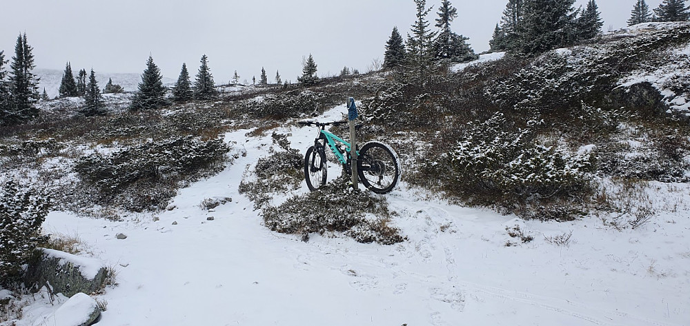Snøen gjorde at jeg ikke kunne se hvor det var is under snøen, så da valgte jeg å sette igjen sykkelen ved stistart