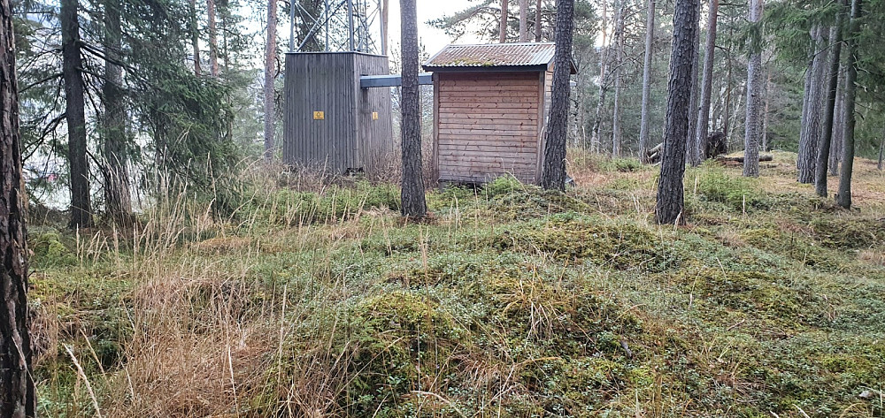 Fra det høyeste punktet og bort mot antenna som står der oppe