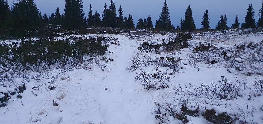 Også her var det gått folk etter siste snøfall
