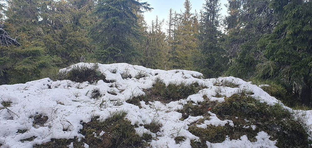 Høyeste punkt på Kinnkjølen var delvis dekket av snø