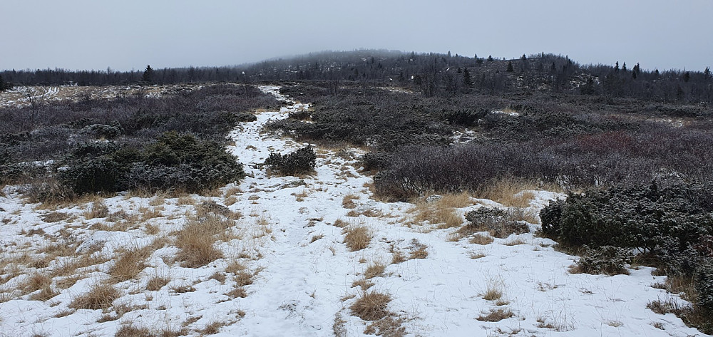 Jeg startet turen på tydelig og mye brukt sti. Dessverre så jeg at tåken dekket fjellet høyere opp.