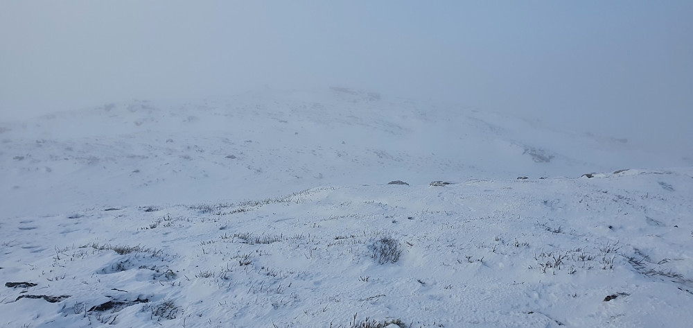 Da ventet det en kun liten fjellside med mye løs snø, før jeg var på toppen. Det ble en hard tur i dag, da det var tungt føre