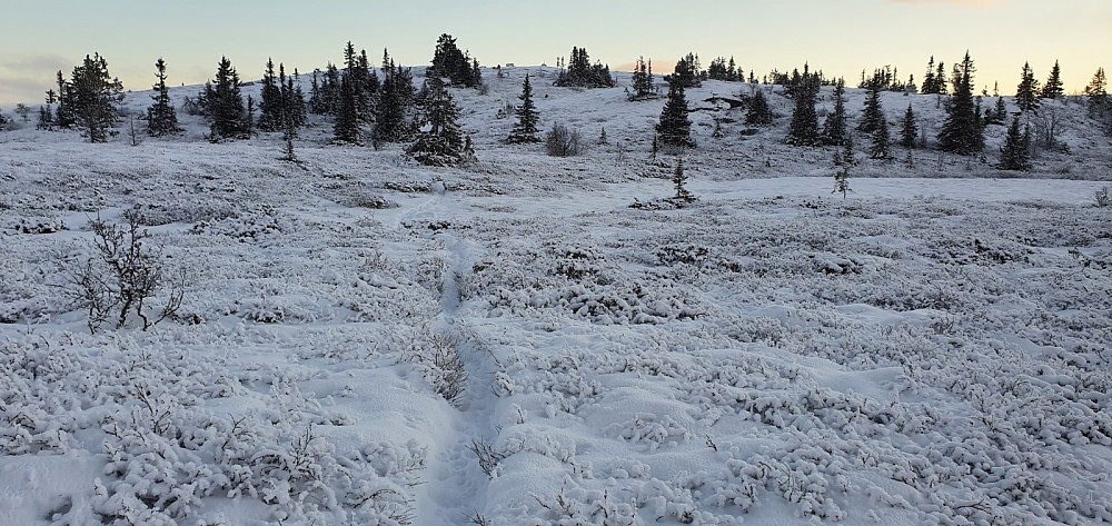 Det var flere som hadde gått her etter siste snøfall, så det var lett å gå