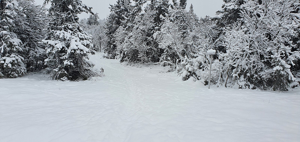 Det var flere som hadde gått her etter det siste snøfallet, så her var det lett å gå