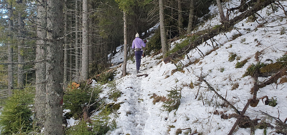 Det er usedvanlig lite snø i vinter