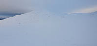 NJK500_20220108_61d9a01f3f6ba.jpg