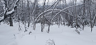NJK500_20220108_61d9a0205031b.jpg