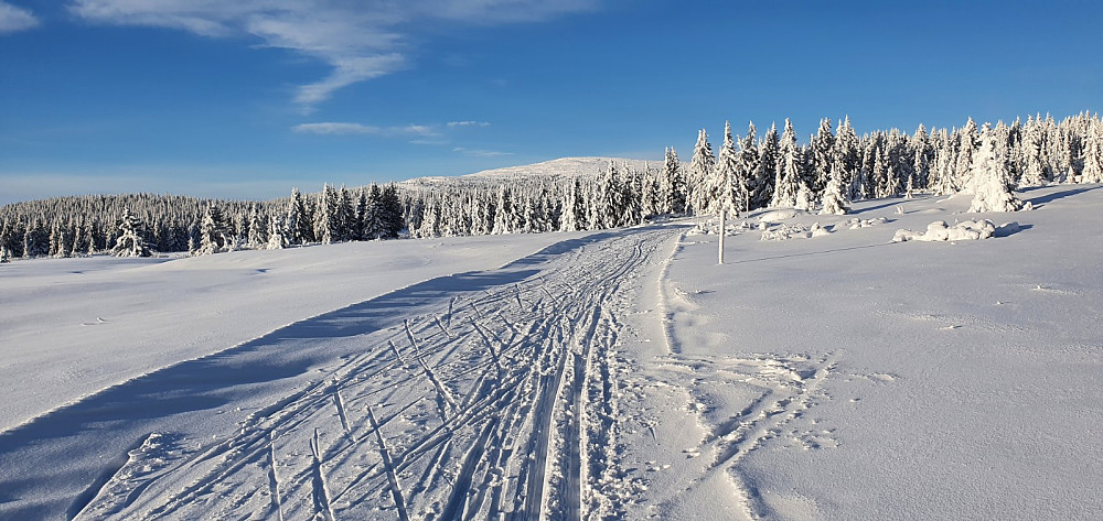 Dette blir sesongens første skitur til Nevelfjell