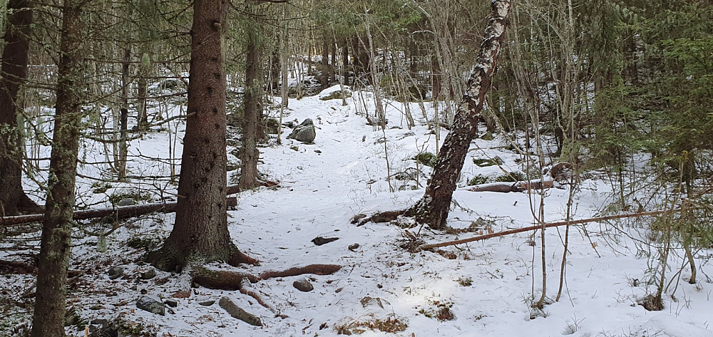 Litt nysnø hadde festet seg til isen, så det var ikke så glatt i dag