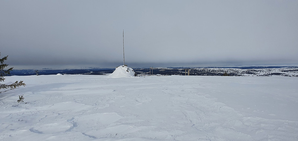 Toppen på Sjøsæterfjellet og nordover